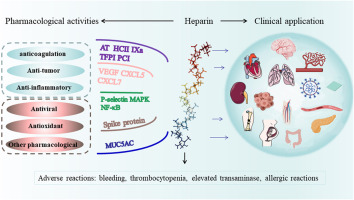 Heparin và các vấn đề thường gặp trong lâm sàng