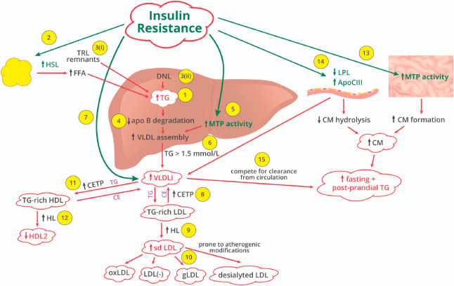 Rối loạn lipid máu ở bệnh nhân đái tháo đường