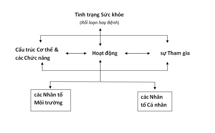 Phân loại ICF