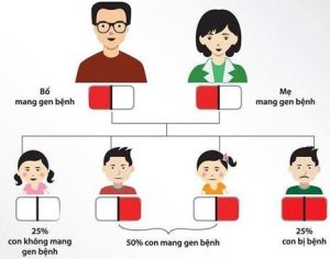 minh-hoa-co-che-di-truyen-trong-benh-ly-thalassemia