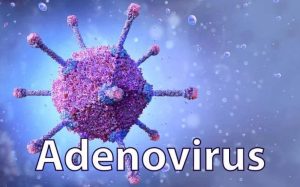 Bệnh Adenovirus có thể lây lan rất nhanh nếu không được phòng ngừa