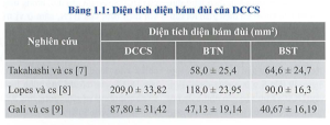  Diện tích diện bám đùi của DCCS