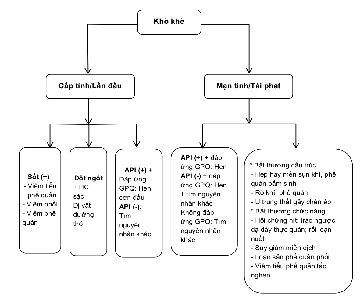 Lưu đồ tiếp cận chẩn đoán khò khè