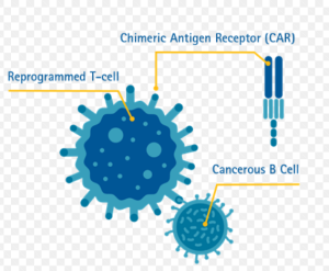 lieu-phap-te-bao-CAR-T