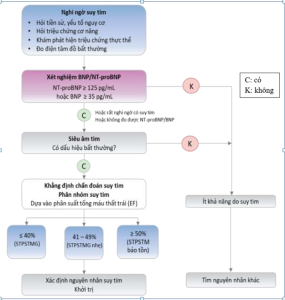 Chẩn đoán suy tim mạn