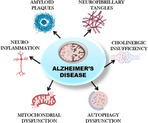 Cơ chế bệnh Alzheimer