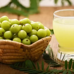 Nước ép trái tử (Amla)