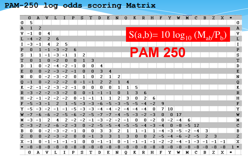 Thang điểm PAM250