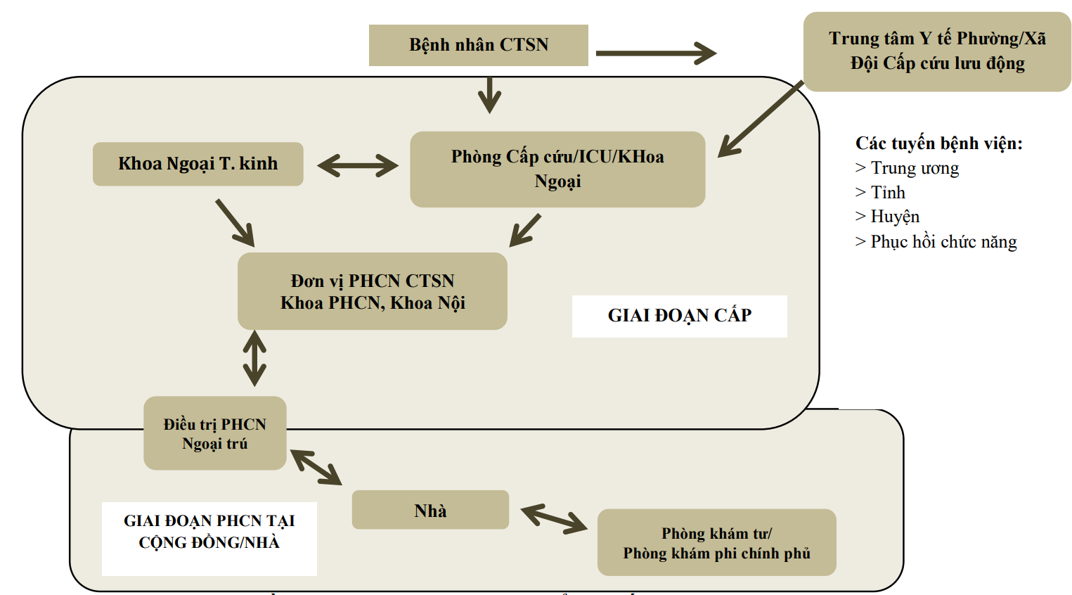 Quy trình giới thiệu chuyển tuyến chấn thương sọ não