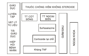 viem-cot-song-dinh-khop