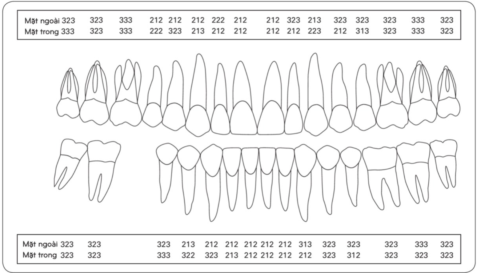 case-lam-sang-1-1