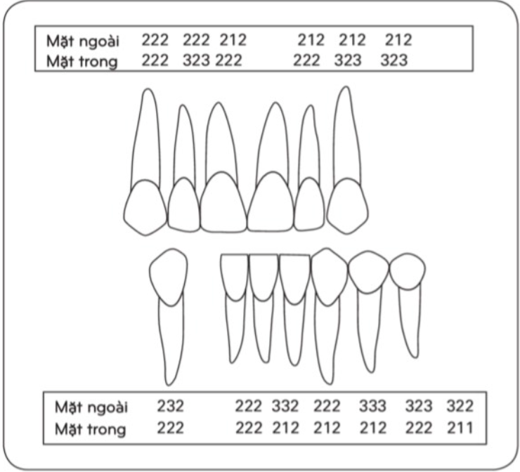 case-lam-sang-2-3