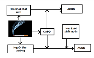 Con đường dẫn đến hội chứng ACOS