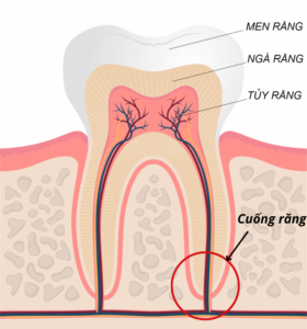 benh-ly-chop-rang