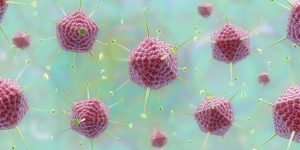 Adenovirus là một loại virus gây bệnh ở con người