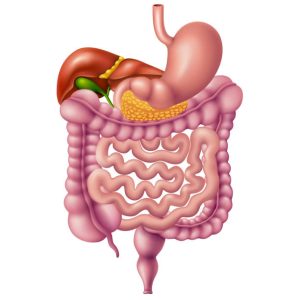 Kỹ thuật NBI (Narrow Band Imaging) được sử dụng để tầm soát ung thư đường tiêu hóa