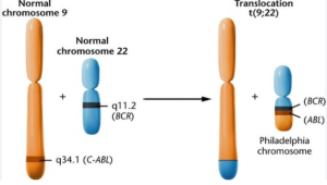 chuyen-doan-nhiem-sac-the-9-va-22-trong-CML