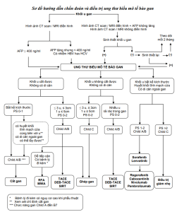 Sơ đồ điều trị ung thư biểu mô tế bào gan