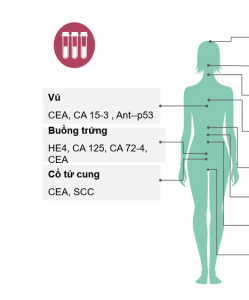 mot-so-dau-an-sinh-hoc-trong-ung-thu