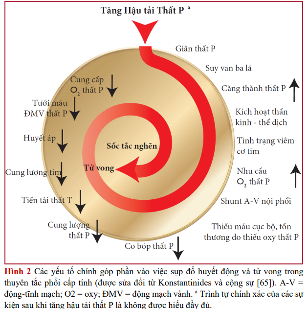 tac-dung-bat-loi-cua-PE-cap-tinh-voi-co-tim-RV 