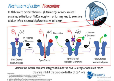 co-che-tac-dung-Memantine