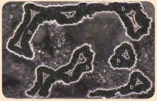 vat-lieu-tantalum-3