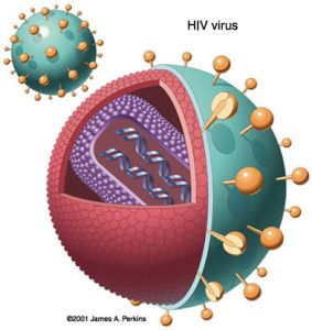 Virus HIV-1