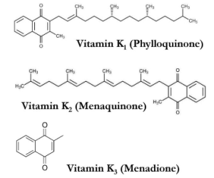 Vitamin K