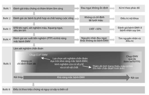 Bước chẩn đoán bệnh động mạch vành (Theo ESC 2019)