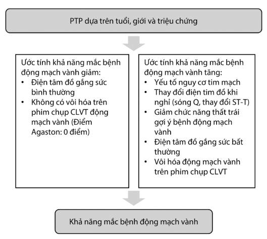 Xác định khả năng mắc bệnh động mạch vành (theo ESC 2019)