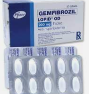 Gemfibrozil – nhóm Fibrate