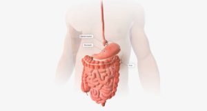 Viêm loét đại tràng gây nhiều triệu chứng khó chịu cho người bệnh