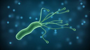 Helicobacter pylori có thể là yếu tố nguy cơ của ung thư dạ dày