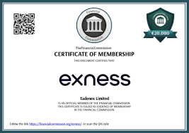 The Comprehensive Guide to Exness Forex Broker 4
