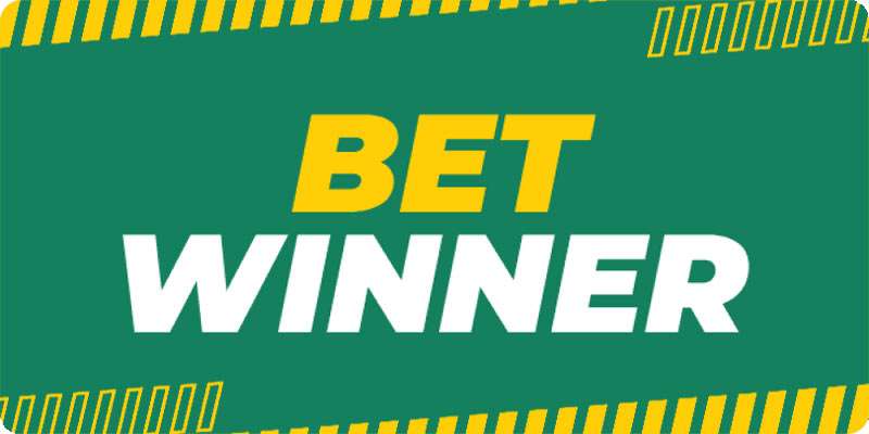All About BetWinner in Cameroon Your Complete Guide All About BetWinner in Cameroon Your Complete Guide
