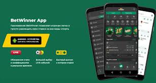 Uncover the Excitement of BetWinner Online Casino and Sportsbook