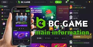 Exploring the Exciting World of BC.Game Online Betting Platform