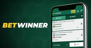 BetWinner Online Sportsbook Your Guide to Winning Big